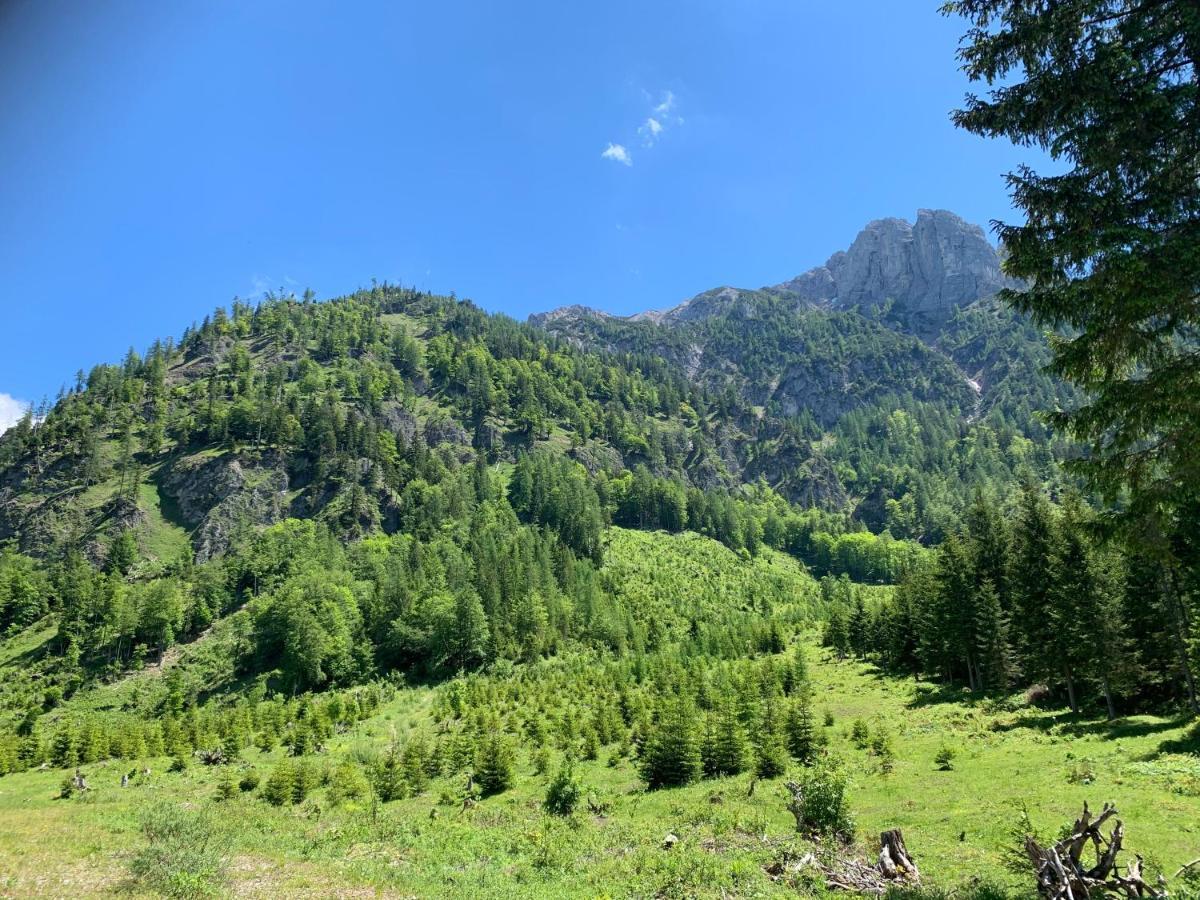 Apartment Kumitzblick Obersdorf Buitenkant foto